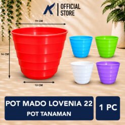 LOVENIA POT MADO 22 Gentong-Madu Tanaman Hias-Bunga Warna-Warni Putih-Merah-Biru-Hijau-Ungu 19 cm