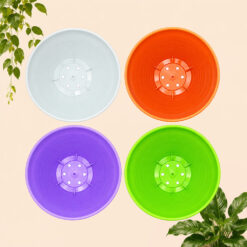 Alternative view of LOVENIA MADO TIRUS 18 Pot Tanaman-Tumbuhan-Bunga Diameter Atas 15.5 cm