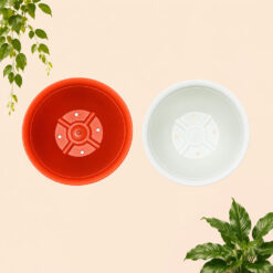 Alternative view of CJP POT PADI 18 Tanaman-Tumbuhan-Bunga-dll Plastik Diameter Atas 18 cm