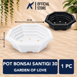 GOL BONSAI SANTIGI 30 Pot Segi 8 Tanaman Tumbuhan Hias Bunga Warna Hitam Putih Merah Bata Hijau Diameter 28 cm-centi meter