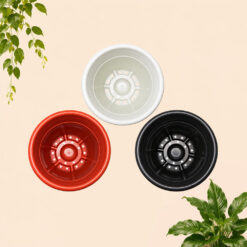 Alternative view of GOL VINCA 35 Pot Tanaman Tumbuhan Bunga Plasti Kuping Hitam Putih Merah Bata Garden Of Love diameter 35 cm centi meter