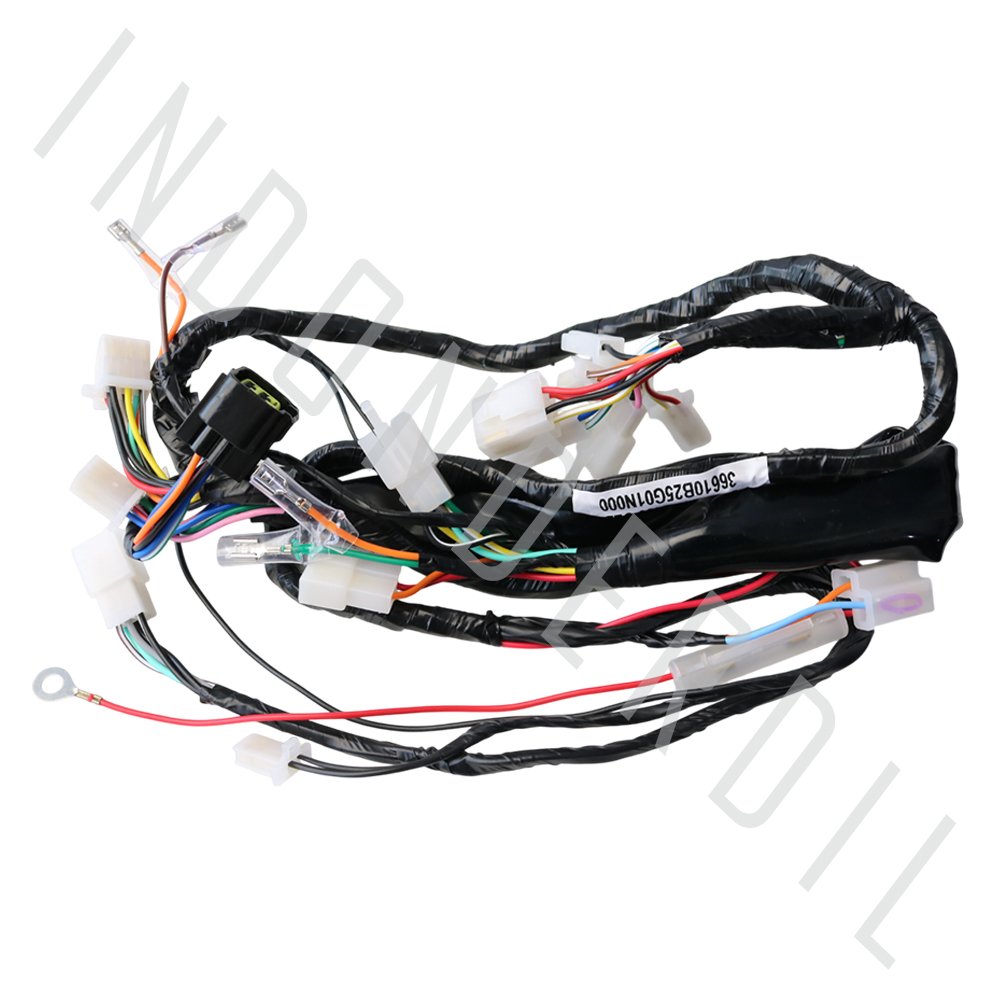 I-A01-0255-S001-00 IND 2