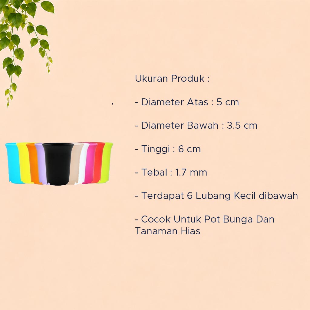 NKT SANSE 5 POT TANAMAN Tumbuhan Hias Bunga Sukulen Kaktus dll Diameter Atas 5 cm centi meter Hitam Putih Bening - Gambar 4