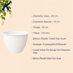 MDN TAWON 24 POT TANAMAN Tumbuhan Hias Bunga Bulat Diameter atas 24 cm centimeter Putih - Gambar 4