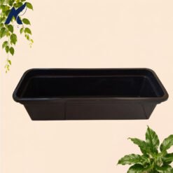 Alternative view of GLOBAL LION SEGIEMPAT ELANG 40 POT PANJANG Tanaman Tumbuhan Segi Empat Hias Bunga dll Panjang 49 cm Centi meter Hitam