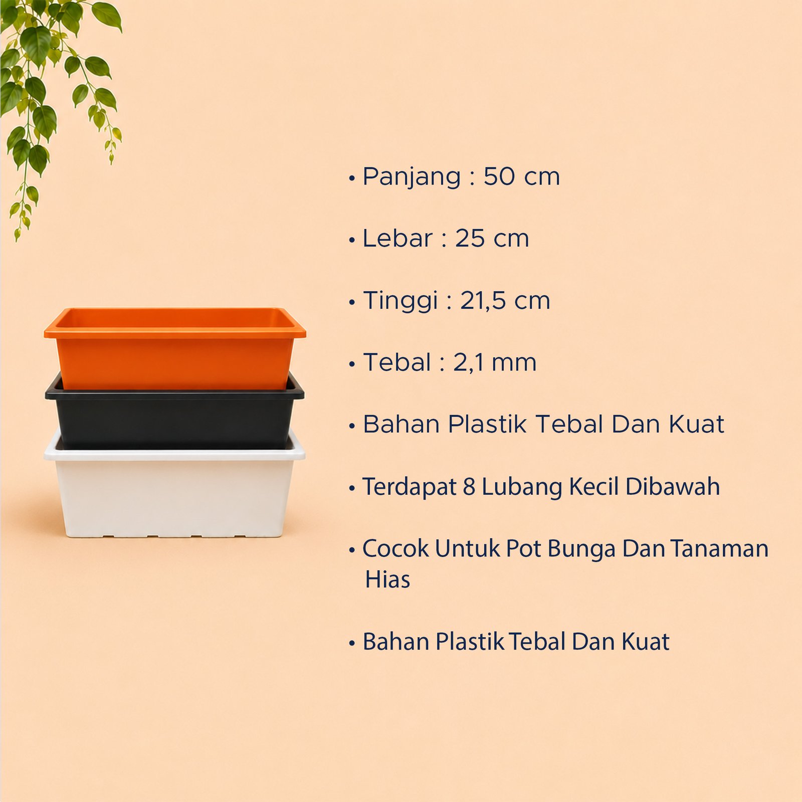 GLOBAL LION SEGI EMPAT ELANG 50 POT PANJANG Tanaman Tumbuhan Hias Segi Empat Bunga dll Panjang 50 cm Centi meter Hitam Cokelat Putih - Gambar 4