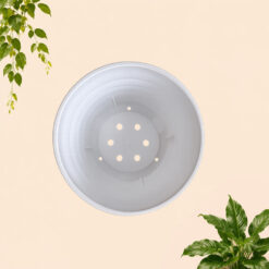 LOVENIA MADO 10 POT TANAMAN (8010) Plastik Tumbuhan Hias Bunga Daun Diameter Atas 9cm Centi meter Putih - Gambar 3