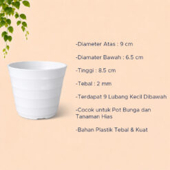LOVENIA MADO 10 POT TANAMAN (8010) Plastik Tumbuhan Hias Bunga Daun Diameter Atas 9cm Centi meter Putih - Gambar 4