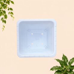 Alternative view of LOVENA SEGI 4 MK25 POT TANAMAN (8025) Tanaman Tumbuhan Segi Empat Hias Bunga dll Panjang 21 cm Centi meter Putih