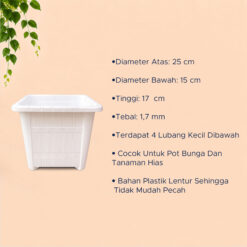 LOVENA SEGI 4 MK25 POT TANAMAN (8025) Tanaman Tumbuhan Segi Empat Hias Bunga dll Panjang 21 cm Centi meter Putih - Gambar 4
