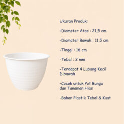 MDN TAWON 21 POT TANAMAN Tumbuhan Hias Bunga Bulat Diameter atas 21,5 cm centimeter Putih - Gambar 4
