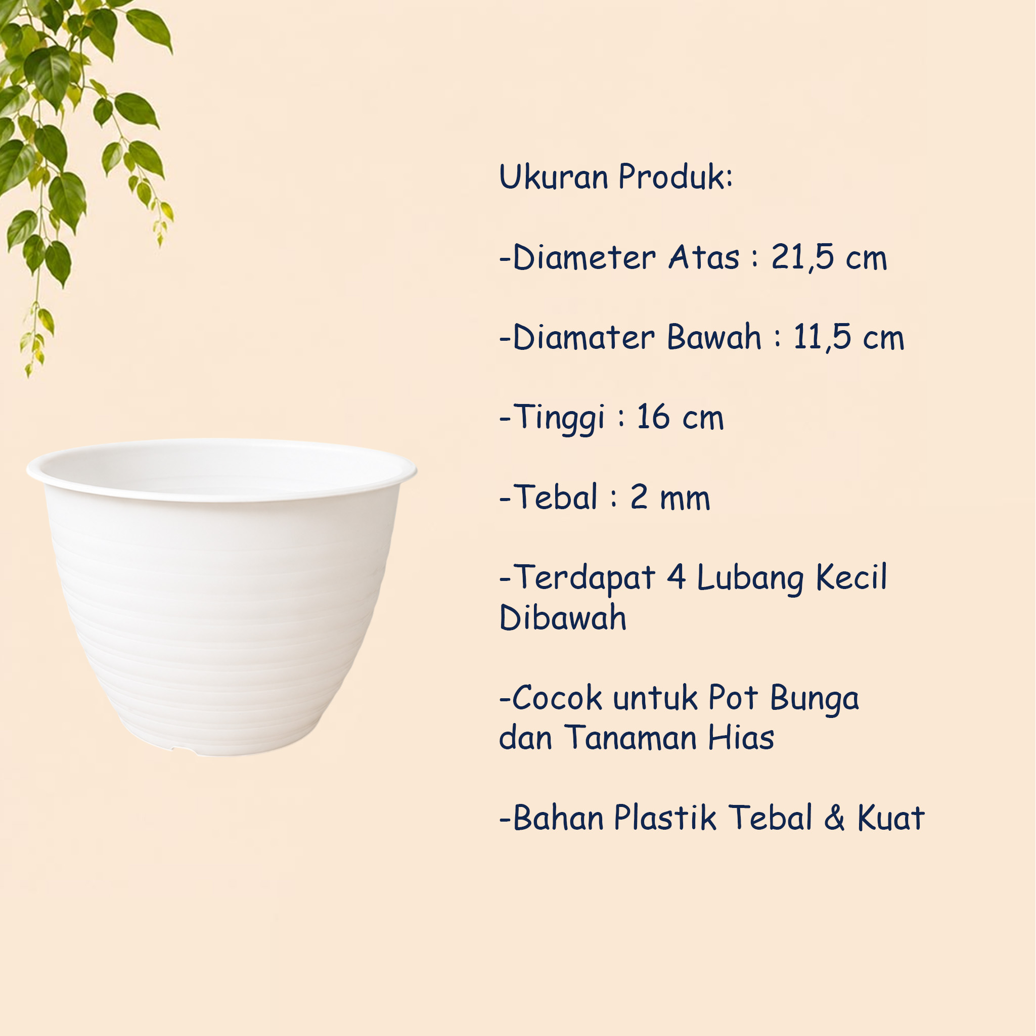 MDN TAWON 21 POT TANAMAN Tumbuhan Hias Bunga Bulat Diameter atas 21,5 cm centimeter Putih - Gambar 4