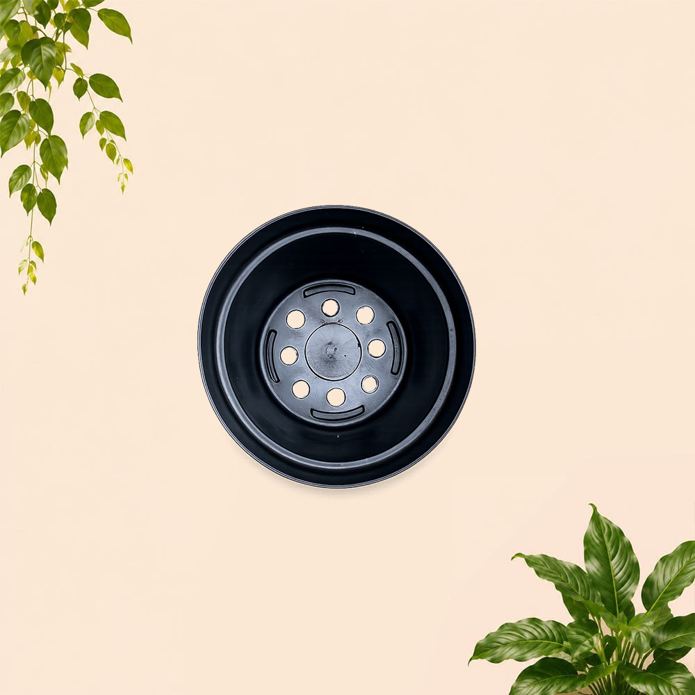 JT-PLAST POLOS 20 POT TANAMAN Tumbuhan Hias Bunga Daun Bulat Diameter atas 20 cm centimeter Hitam - Gambar 2