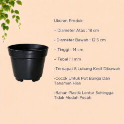 JT-PLAST POLOS 20 POT TANAMAN Tumbuhan Hias Bunga Daun Bulat Diameter atas 18 cm centimeter Hitam - Gambar 4