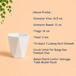 QUEEN KOI 20 POT TANAMAN Bulat Tumbuhan Hias Dekorasi Bunga Daun Diameter Atas 16,5 cm centi meter Putih - Gambar 4