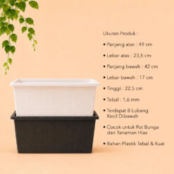 LOVENIA KAYU 50  POT PANJANG Tanaman Tumbuhan Hias Bunga dll Panjang 50 cm Centi meter Hitam Putih - Gambar 4