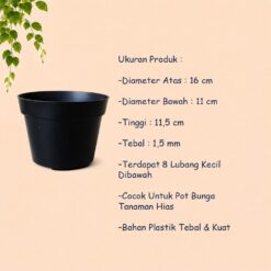 KOI 17 POT TANAMAN Bulat Tumbuhan Hias Dekorasi Bunga Daun Diameter Atas 16 cm centi meter Hitam - Gambar 4