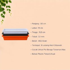 Lovenia Panjang Kayu 50 S Pot Panjang (8850S) Tanaman Tumbuhan Hias Bunga dll Hitam Putih Panjang 50 cm Centi meter - Gambar 4